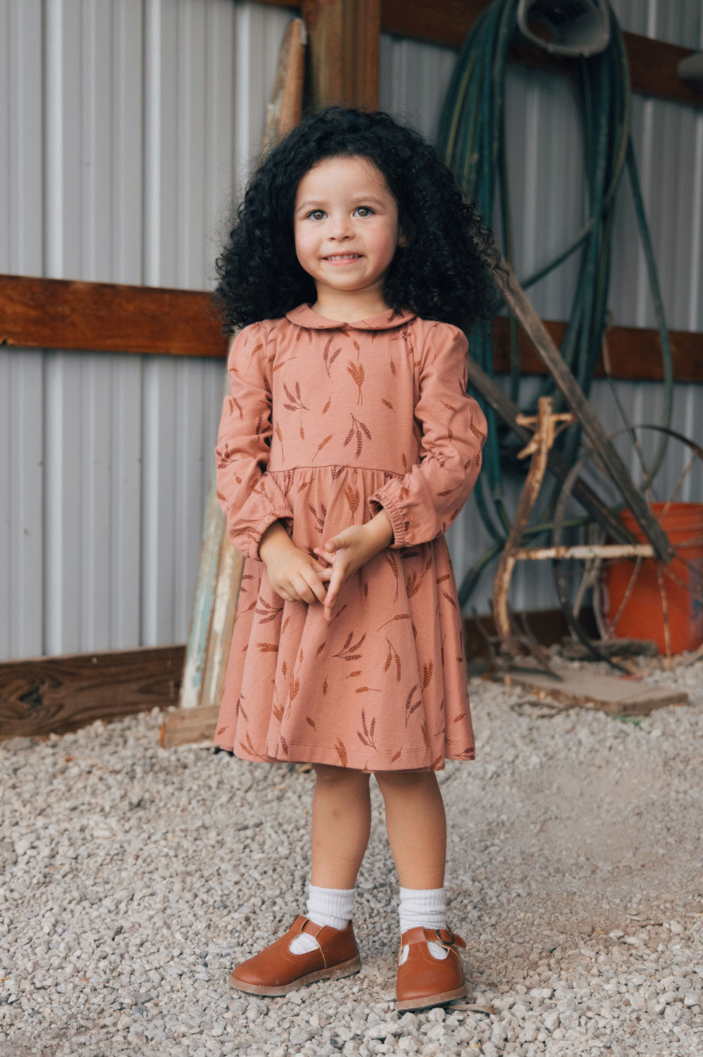 City Mouse Collar Twirl Dress- Wheat