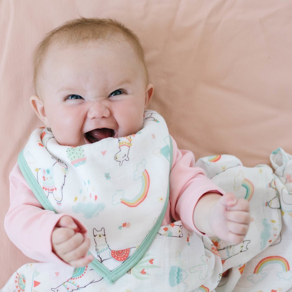Loulou Lollipop Muslin Bandana Bib Set Llama Rainbow
