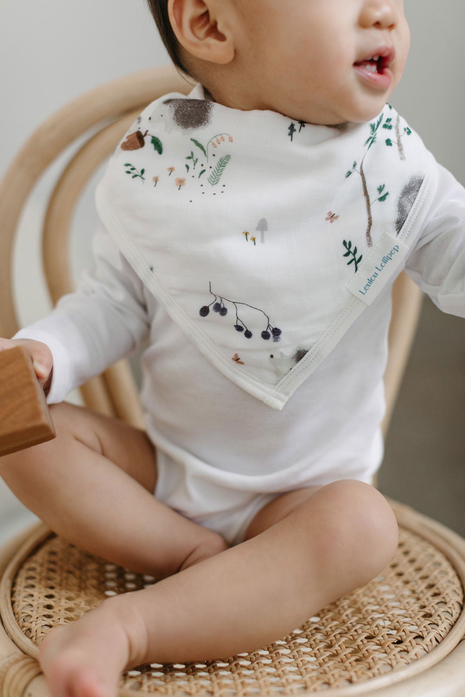 Loulou Lollipop Muslin Bandana Bib Set - Hedgehogs