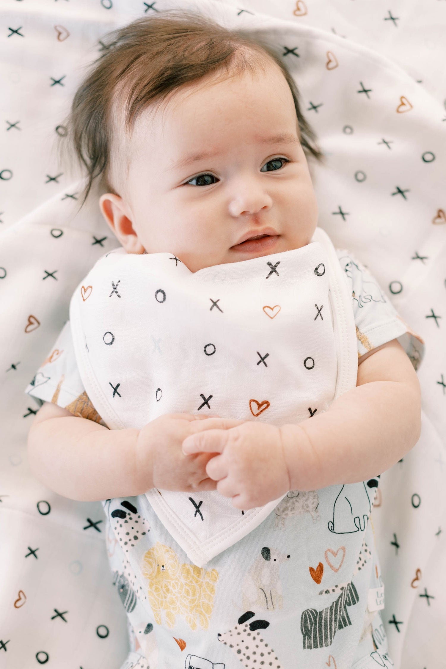 Loulou Lollipop Muslin Bandana Bib Set - Honey Puppies