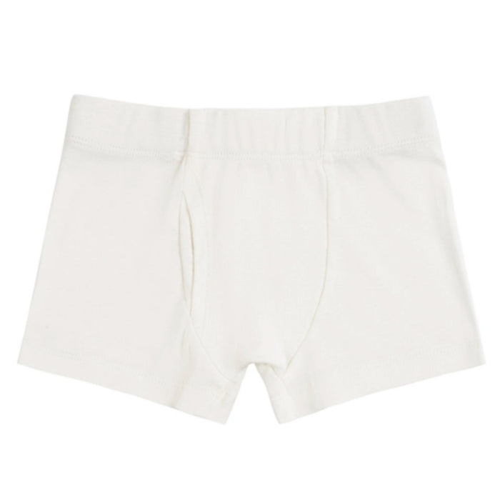 Bamboo Boys Boxer Briefs Underwear (2 Pack) - Hermit Crab – Trendy Tots  Winnipeg