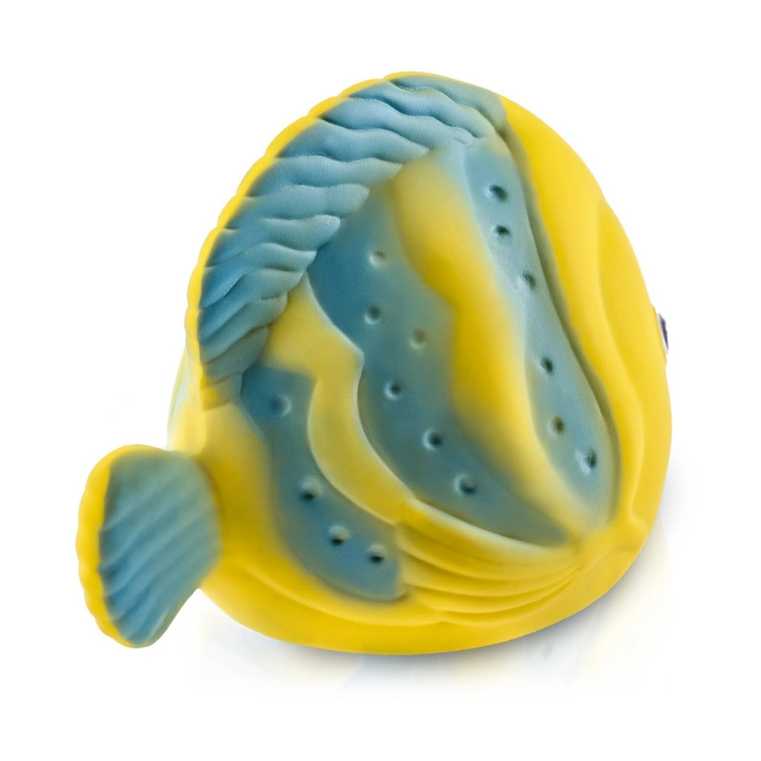 CaaOcho Pure Natural Rubber Butterfly Fish Bath Toy