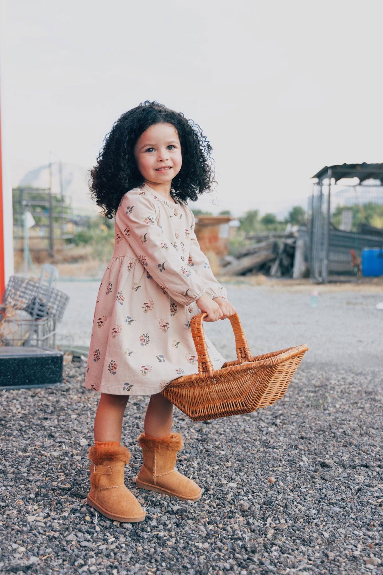 City Mouse Button Down Dress- Mushrooms