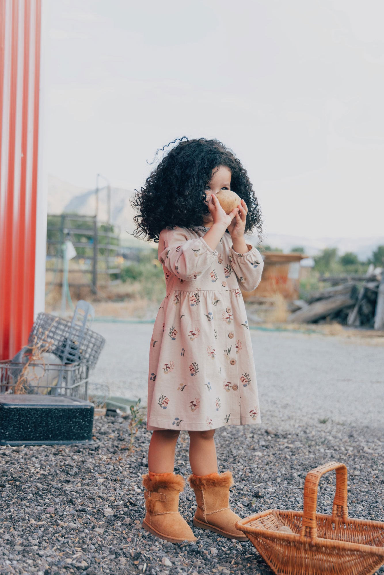 City Mouse Button Down Dress- Mushrooms