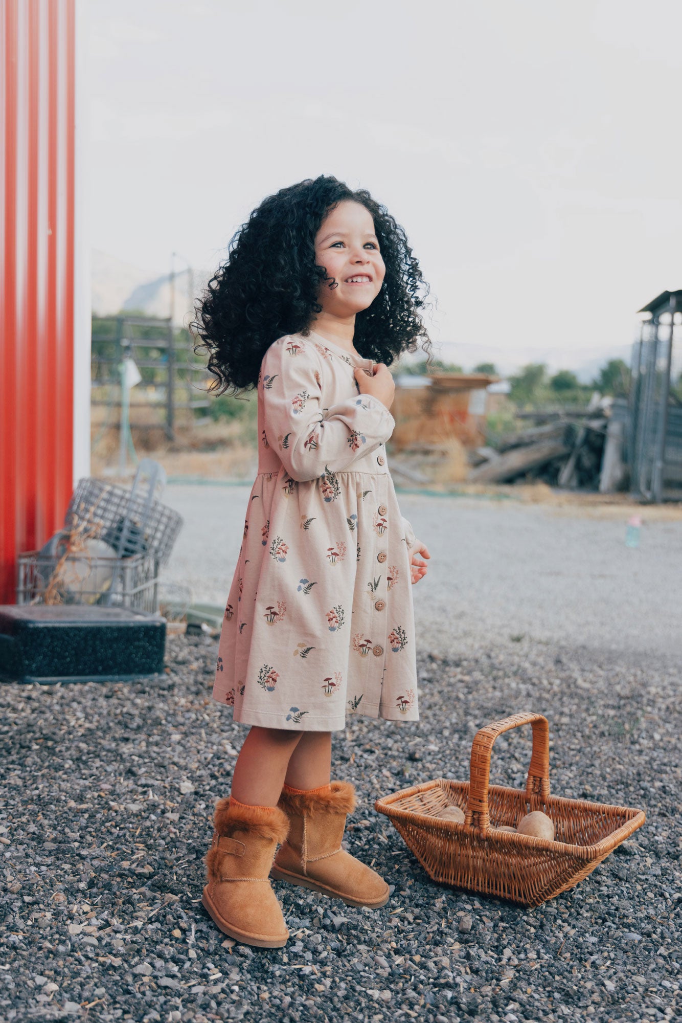 City Mouse Button Down Dress- Mushrooms