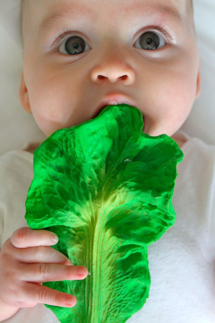 Oli & Carol Natural Rubber Teether Kendall the Kale